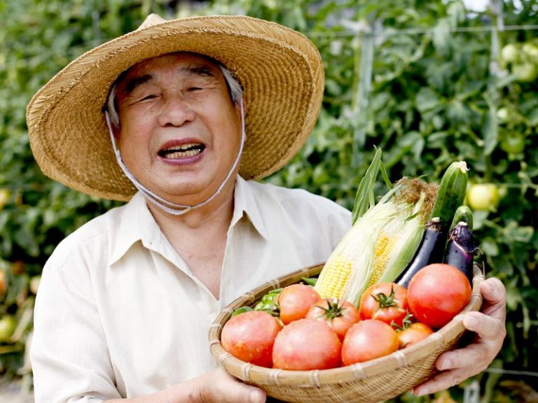 Elder Consult blue zone