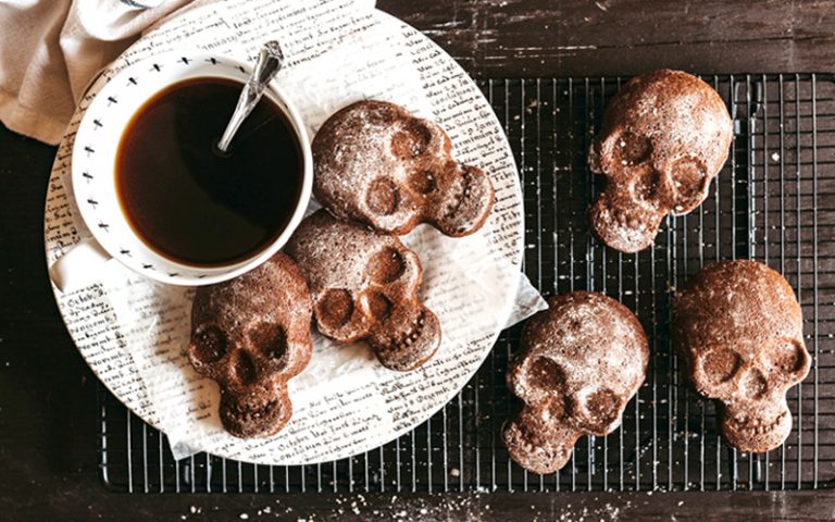 Elder Consult senior healthcare